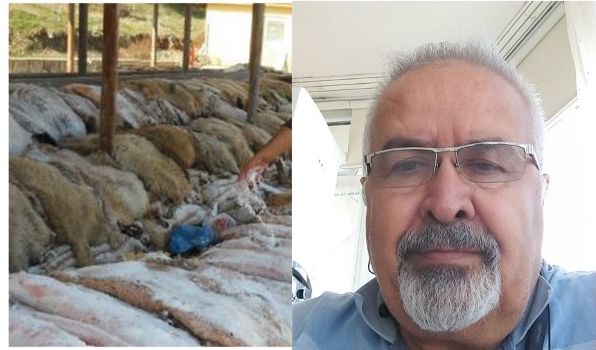 Kavazlar: “THK Kurban derilerini toplamayacak”