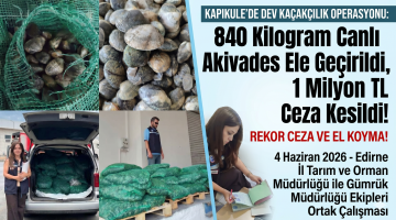 Kapıkule’de dev Kaçakçılık Operasyonu
