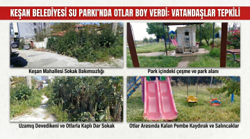 Keşan’ı otlar sardı