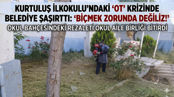 “Ot” krizinde belediye şaşırttı: “Biçmek zorunda değiliz!”