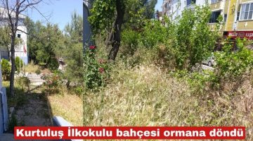 Velilerden Keşan Belediyesi’ne kene ve yılan uyarısı!
