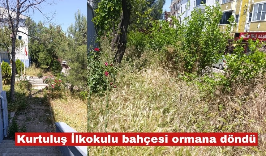 Velilerden Keşan Belediyesi’ne kene ve yılan uyarısı!