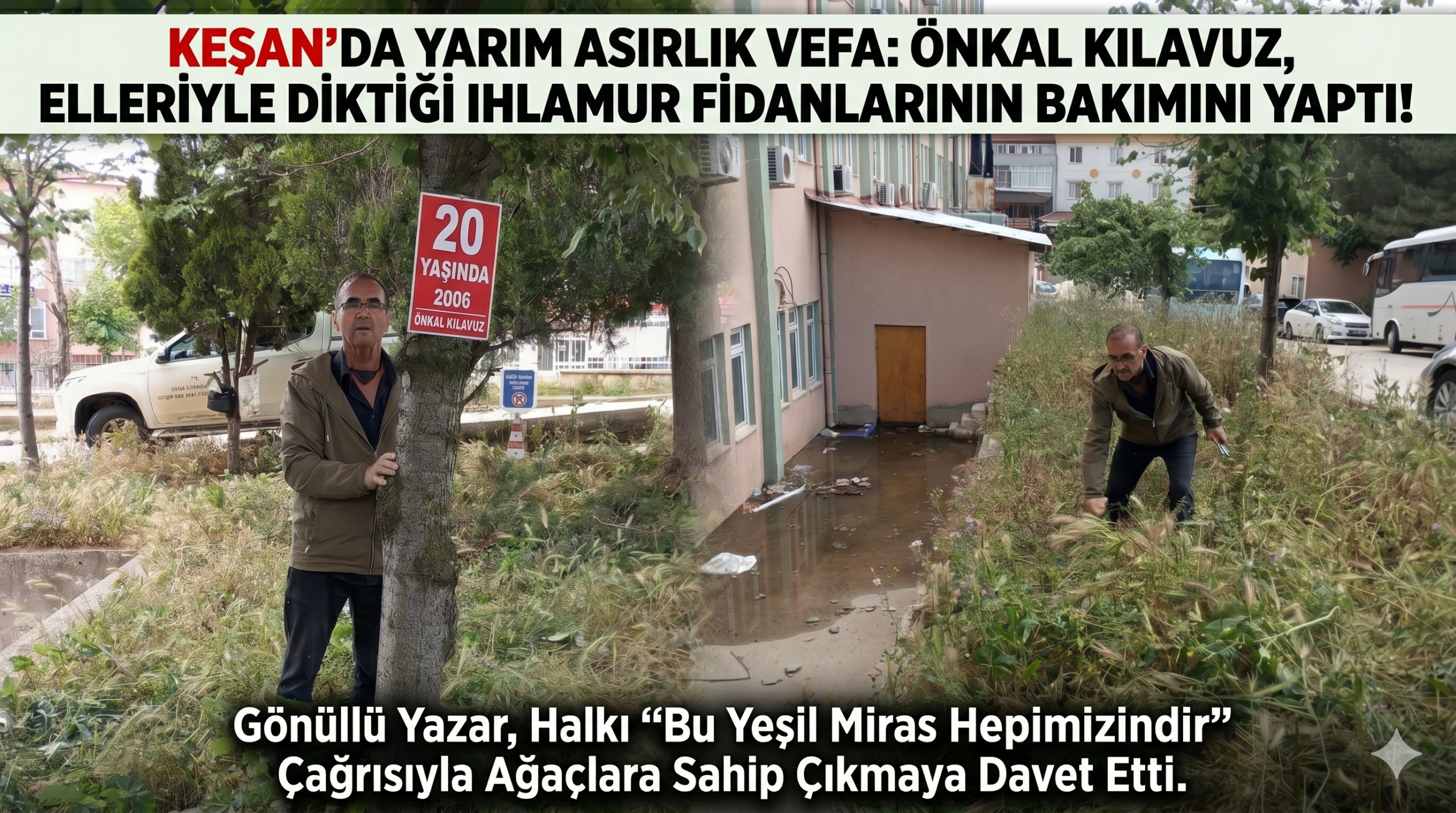 Elleriyle diktiği ıhlamur fidanlarının bakımını yaptı!