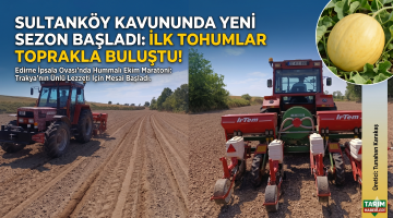 Sultanköy kavununda yeni sezon başladı