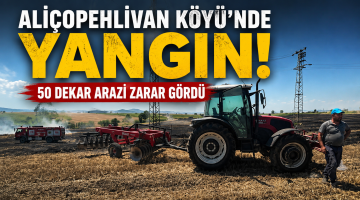 Aliçopehlivan Köyü’nde yangın: 50 dekar arazi zarar gördü