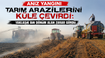 Anız yangını tarım arazilerini küle çevirdi