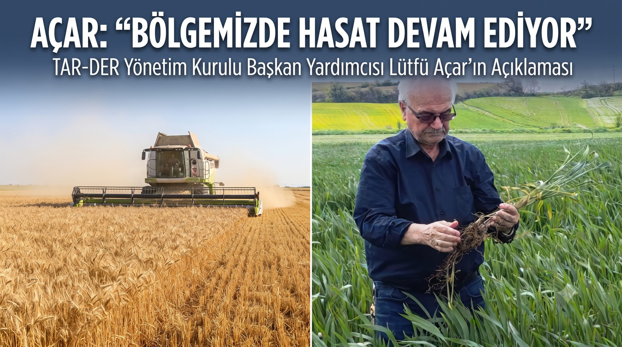 Açar: “Bölgemizde hasat devam ediyor”