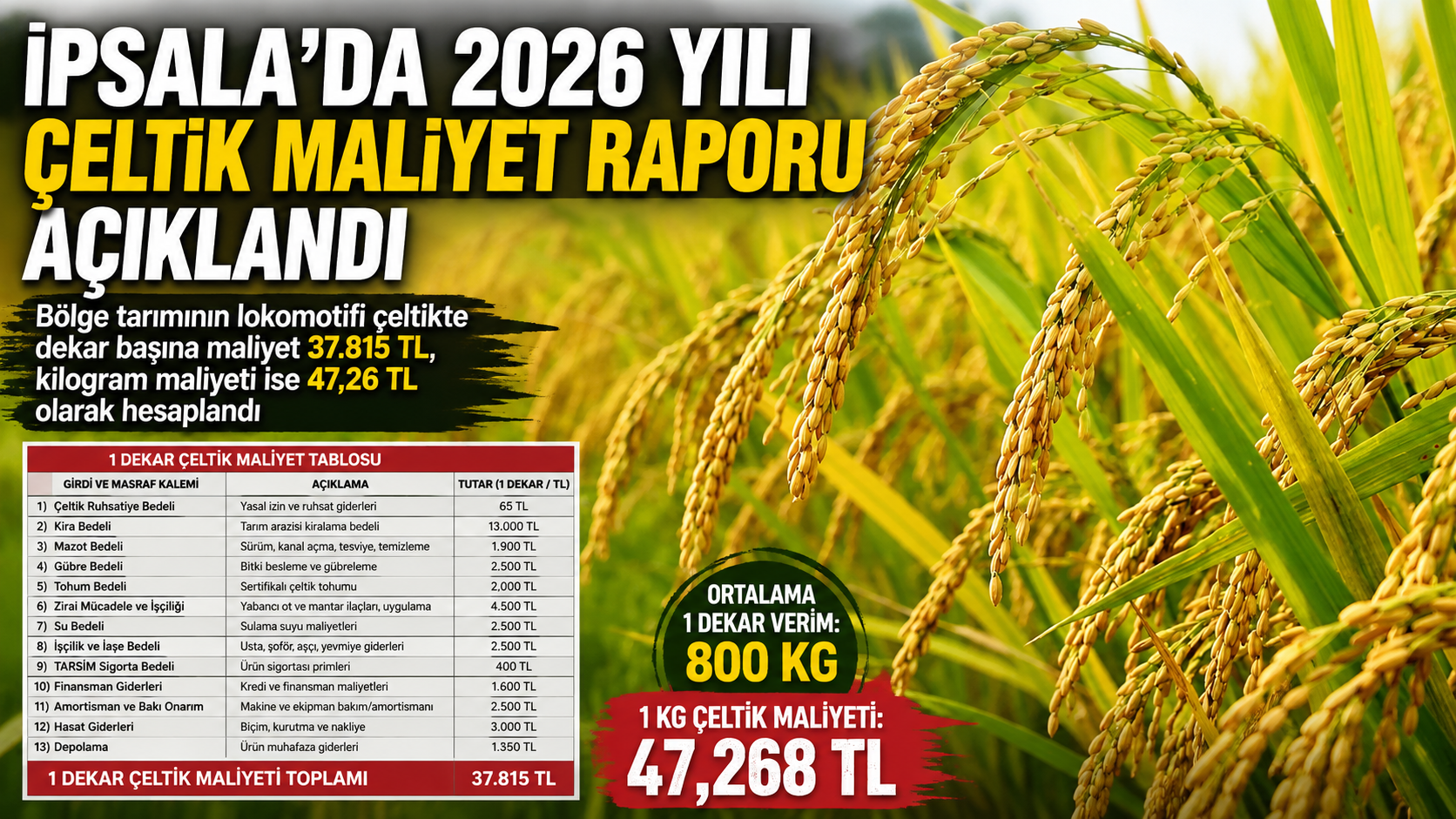 İpsala’da 2026 yılı çeltik maliyet raporu açıklandı
