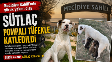Sütlaç’tan Ne İstediniz de katlettiniz?