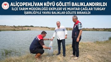Aliçopehlivan Köyü Göleti canlandı