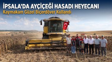 İpsala’da ayçiçeği hasadı heyecanı