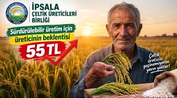 İpsala çeltik üreticisinden 55 TL fiyat beklentisi