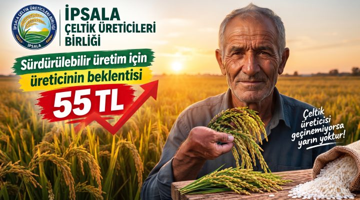 İpsala çeltik üreticisinden 55 TL fiyat beklentisi