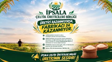 Üreticilerden acil çeltik fiyatı çağrısı!