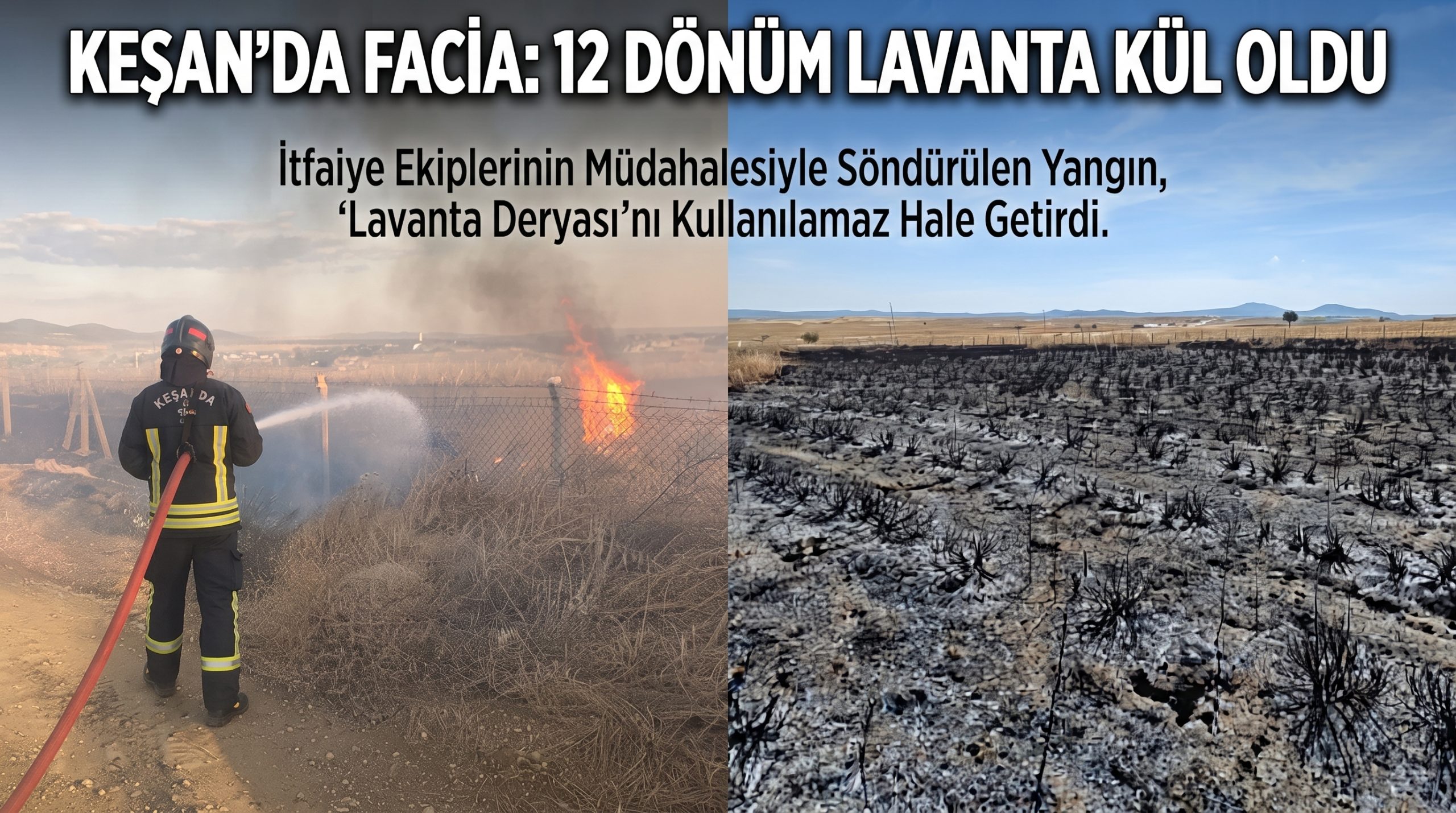 12 Dönümlük Lavanta Tarlası Yangında Kül Oldu