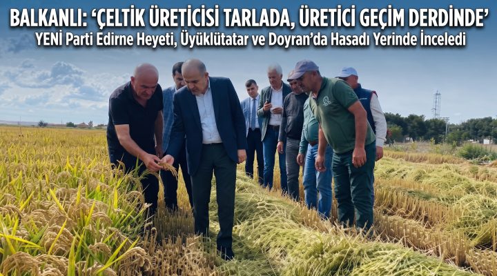 Balkanlı: “Çeltik üreticisi tarlada, üretici geçim derdinde”