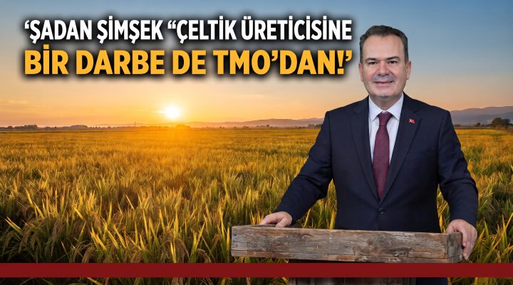 Şadan Şimşek “Çeltik üreticisine bir darbe de TMO’dan!