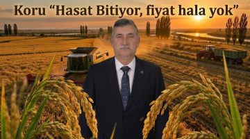 Koru “Hasat Bitiyor, Fiyat Hâlâ Yok