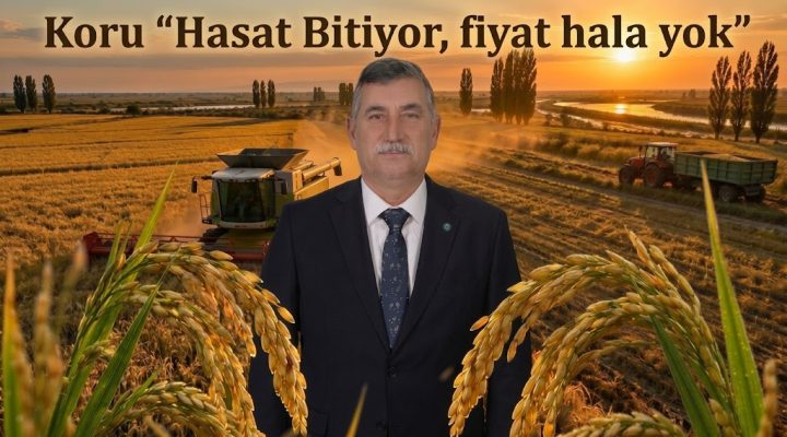 Koru “Hasat Bitiyor, Fiyat Hâlâ Yok