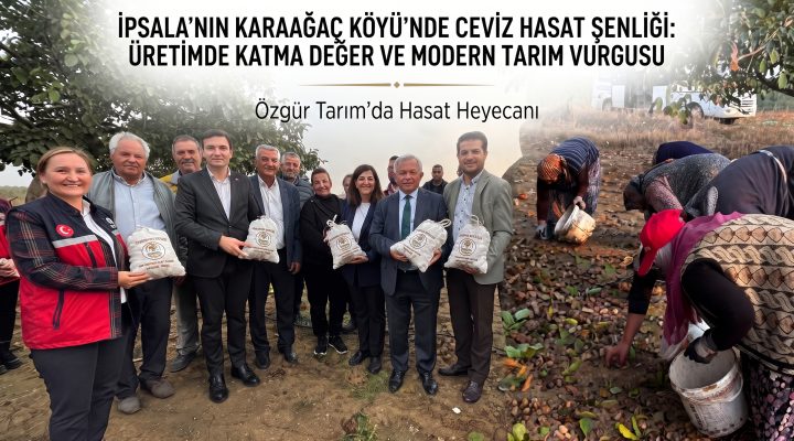 İpsala’nın Karaağaç Köyü’nde ceviz hasat şenliği