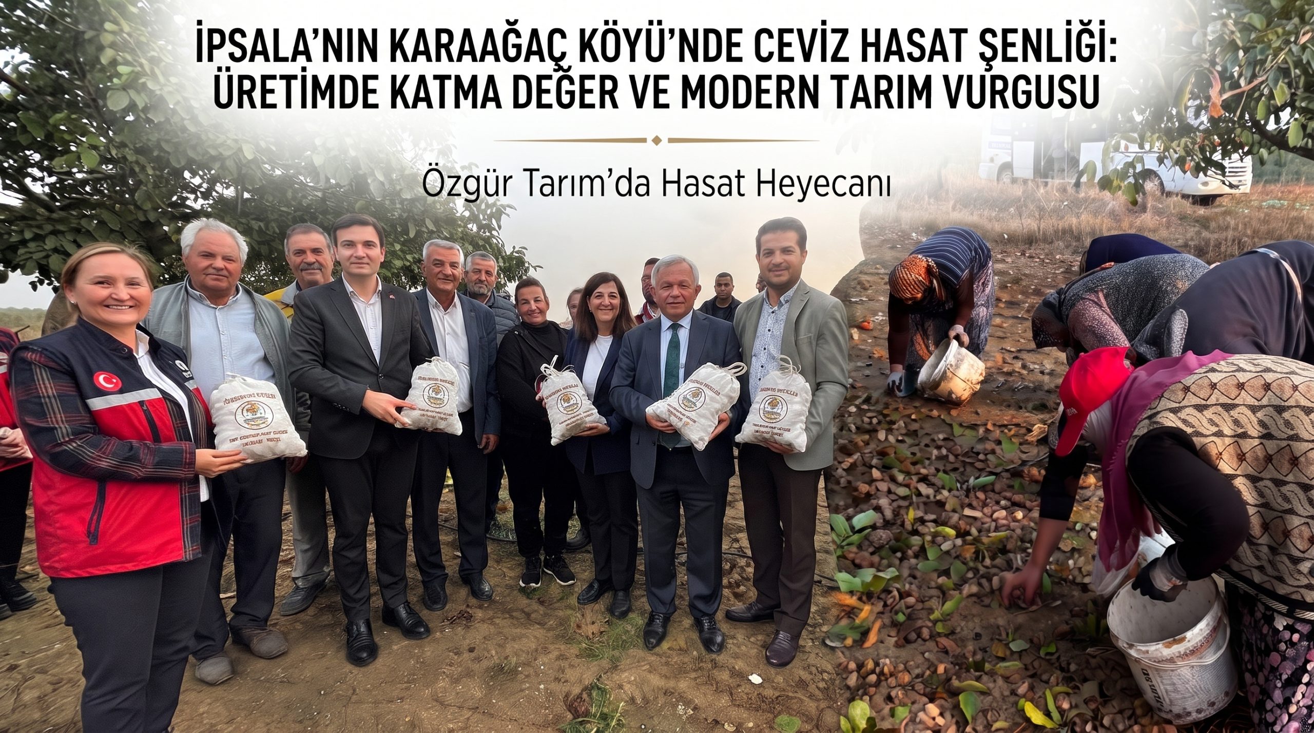 İpsala’nın Karaağaç Köyü’nde ceviz hasat şenliği