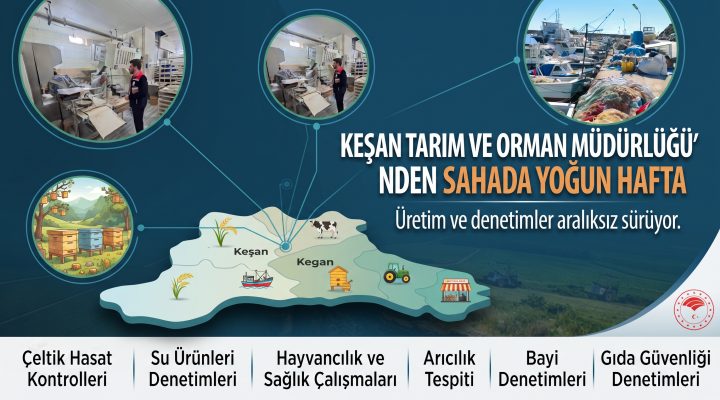 Tarım ve Orman Müdürlüğü’nden sahada yoğun hafta