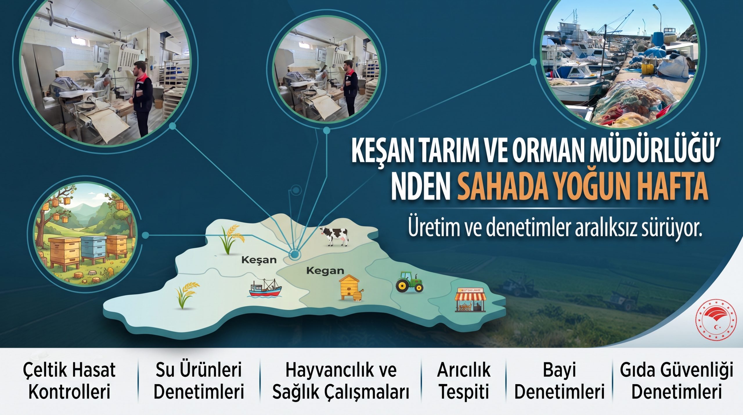 Tarım ve Orman Müdürlüğü’nden sahada yoğun hafta