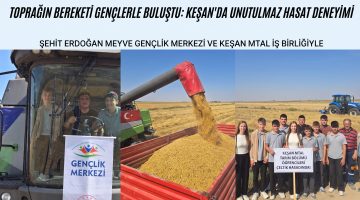 Gençlerle çeltik hasadı deneyimi