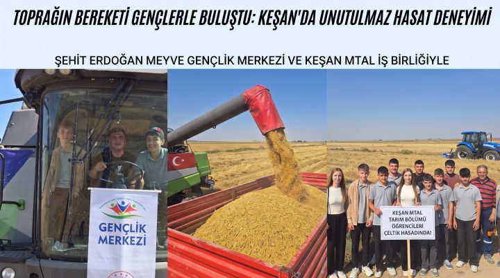 Gençlerle çeltik hasadı deneyimi