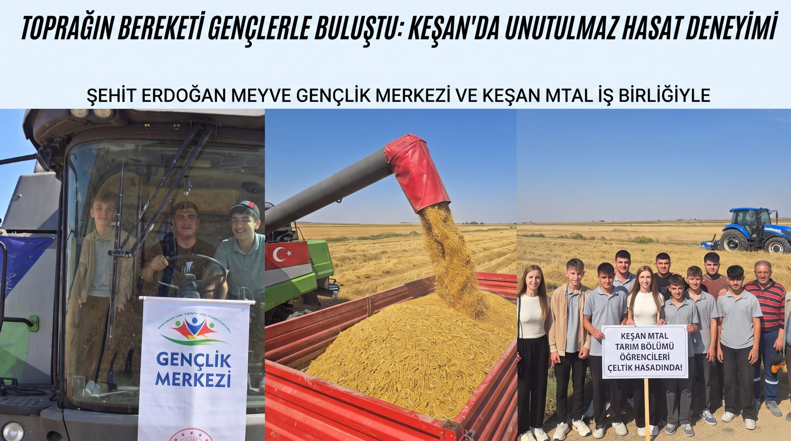 Gençlerle çeltik hasadı deneyimi